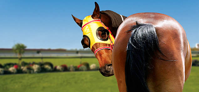 Queensland Racing Queensland Racing