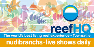 ReefHQ